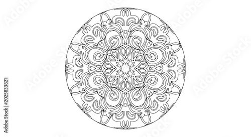 Slika na platnu Intricate mandala design, symmetrical floral pattern, black and white line art,