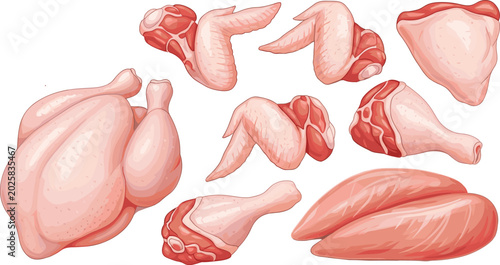 Tableau sur toile Detailed cartoon style fresh raw poultry vector collection featuring a pink whol