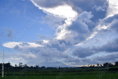 clouds over the field
