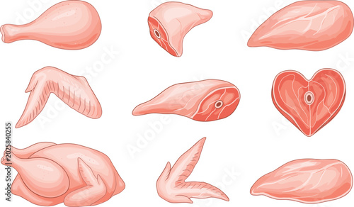 Foto Detailed raw chicken butchery parts vector illustration set with a pink whole ca