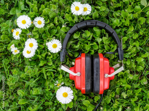 Red noise-canceling headphones lying on green grass with white daisy flowers in spring nature. Concept of relaxation, music outdoors, hearing protection, audio equipment, and peaceful lifestyle
