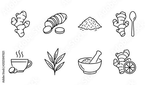 Black and White Ginger Root Minimal Line Icon Collection