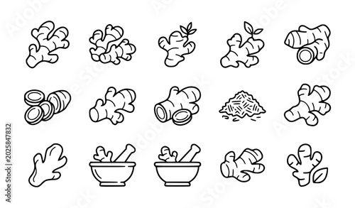 Minimal Ginger Root Food Icon Set in Black on White Background