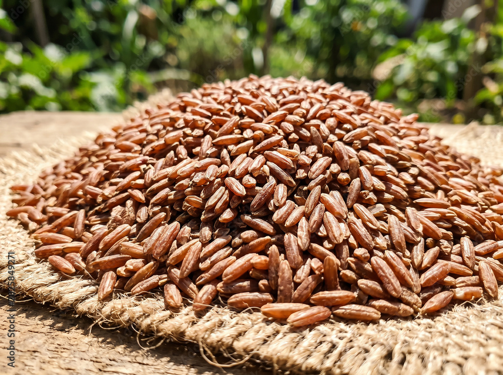 Obraz premium Close-up texture of a pile of unpolished red rice grains on burlap