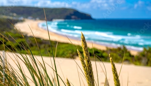 Scenic coastal view with grass foreground, beach, waves, and blurred headland