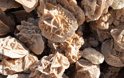 Natural Desert Rose Crystal Formations: Intricate Gypsum Rosette Clusters from the Sahara Desert Arid Landscape
