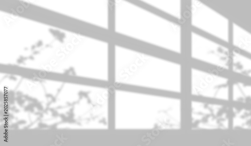 window light shadow with leaves branch silhouette on down right  and left corner of  windows frame visualizing overlay effect fot background design. 
