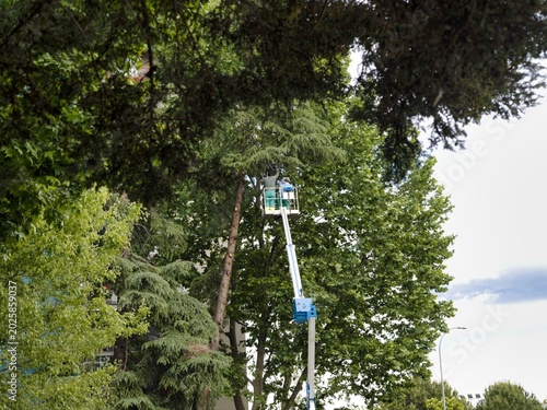 Men work on trees using a lift in a green area near buildings under a partly cloudy sky during daylight