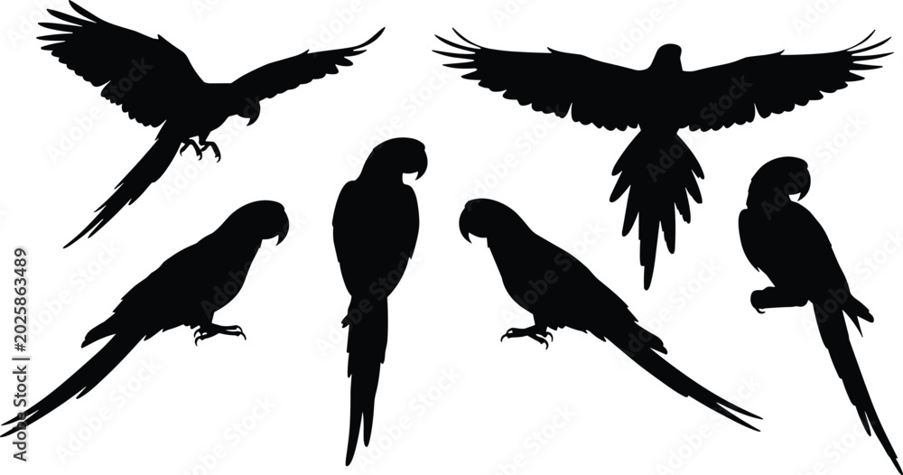 Fototapeta premium Macaw silhouette vector set. Macaw icons for tropical, wildlife, and educational projects. Realistic Macaw shapes for creative, bird, and nature illustrations.