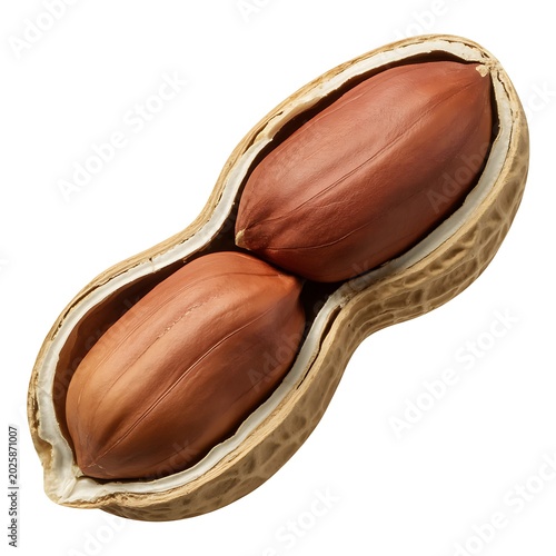 Fresh open peanut with two nuts inside