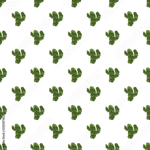 Green cactus plants forming a seamless desert botanical pattern on a white background