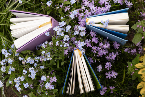 spring or summer arrangement of books and flowers in the garden. The aesthetics of reading in nature. A favorite hobby is reading books.. View from above