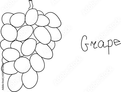 Konstfotografi A beautiful hand-drawn line art illustration of a heavy bunch of fresh grapes on a stem, accompanied by the handwritten word Grape