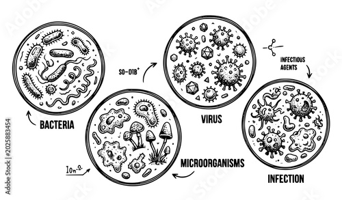 Foto Microbial life forms bacteria viruses and infectious agents illustration