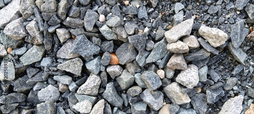 Bild auf Leinwand Close-up texture of natural river gravel stones, ideal for building material cat