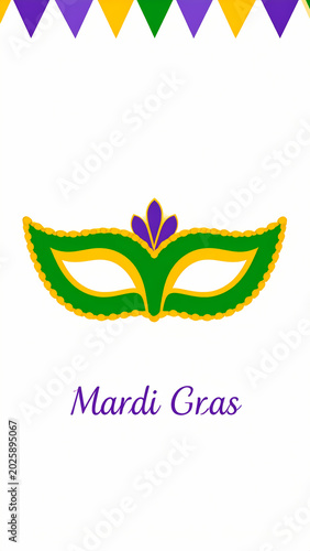 Mardi Gras mask design with festive bunting and text.