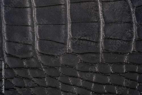 фотографія Black crocodile leather texture close up with embossed reptile scales and matte