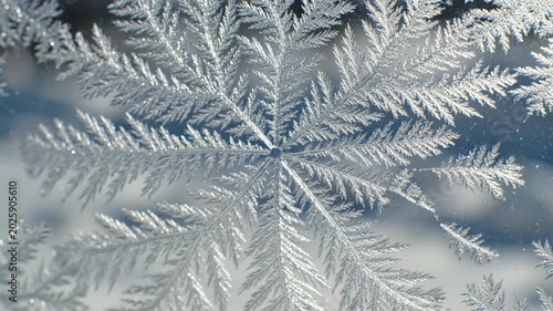 Close-Up of Frosted Snowflake on Window Glass