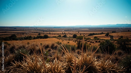 background SET1