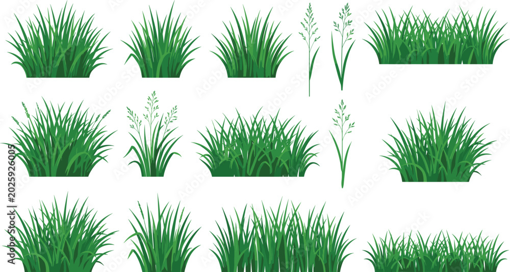 Fototapeta premium Green Grass Tufts Collection, Isolated Meadow Plants and Field Grass Bunches, Set of Flat Vector Illustration