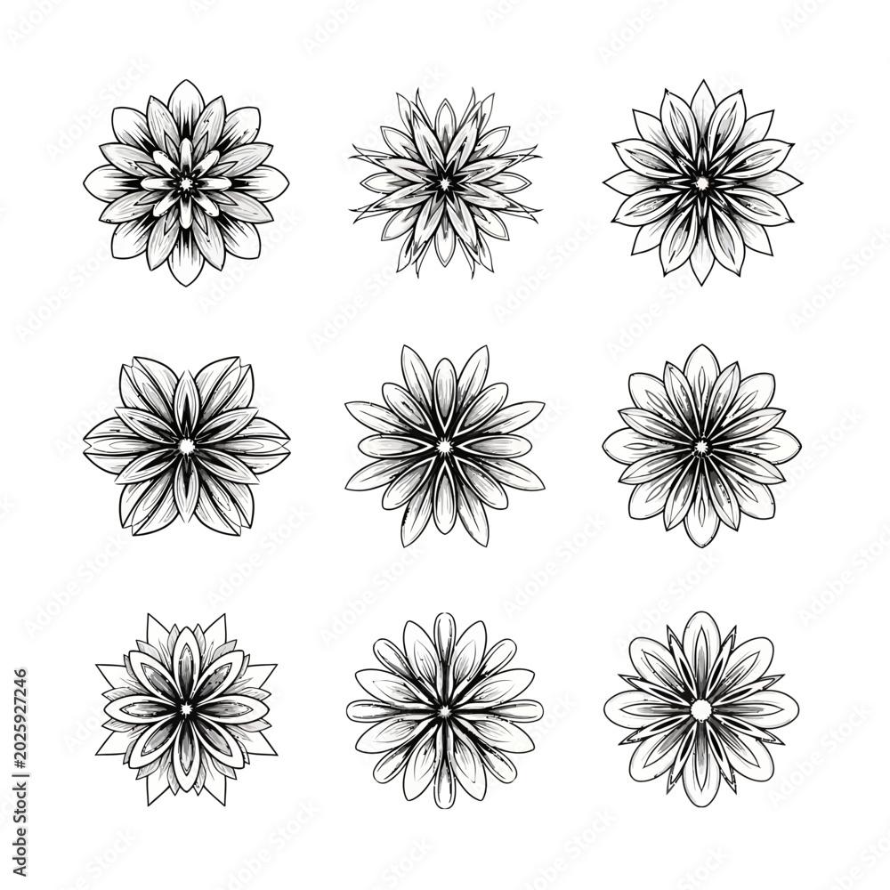 Obraz premium Set of black floral illustrations on white backdrop