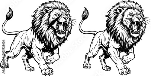 Photos Fierce roaring lion vector, powerful animal mascot, majestic predator with scar, black and white line art, aggressive king of jungle
