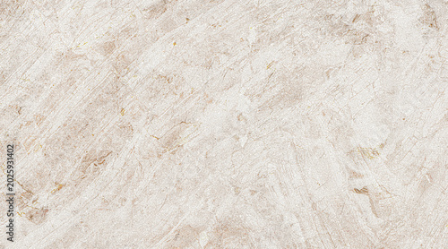 Tableau sur toile A close-up macro photograph showcasing the intricate, abstract texture of a weathered, beige stone surface