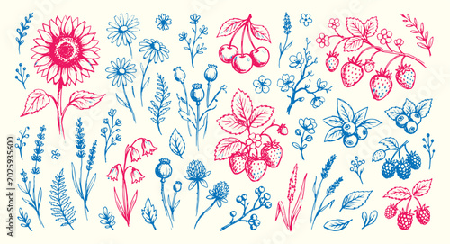 Cuadro en lienzo Colorful illustration of various fruits and flowers in blue and red on a white b