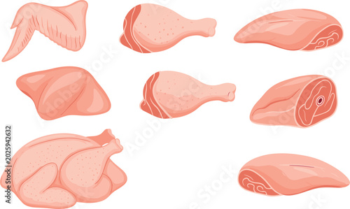Photos Raw poultry meat vector icon set with fresh whole chicken carcass separate pink