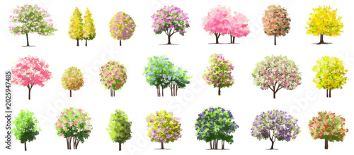 Vertor set of spring blossom tree,bloomimg plants side view for landscape elevation and section,eco environment concept design,watercolor illustration,colorful season