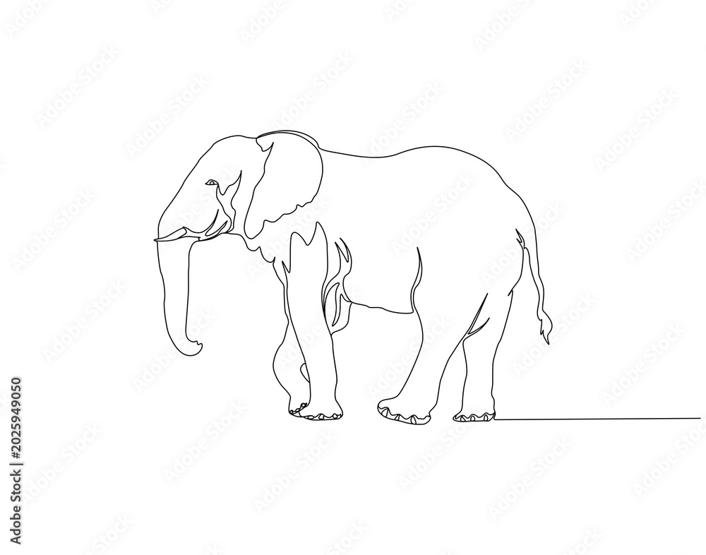 Fototapeta premium Elephant continuous line. Continuous one line drawing of elephant. Big animal concept. Single line drawing