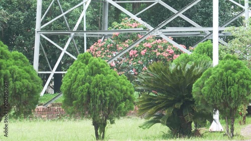 Vibrant pink bougainvillea flowers and green shrubs under steel stadium structure 