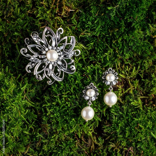 Elegant jewelry set brooch and earrings on lush green moss background
