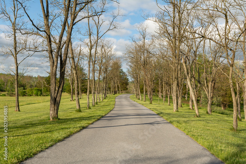 A quiet, winding roadway lined with tall trees and fresh green grass at the Daniel Boone Homestead in Birdsboro, Pennsylvania.