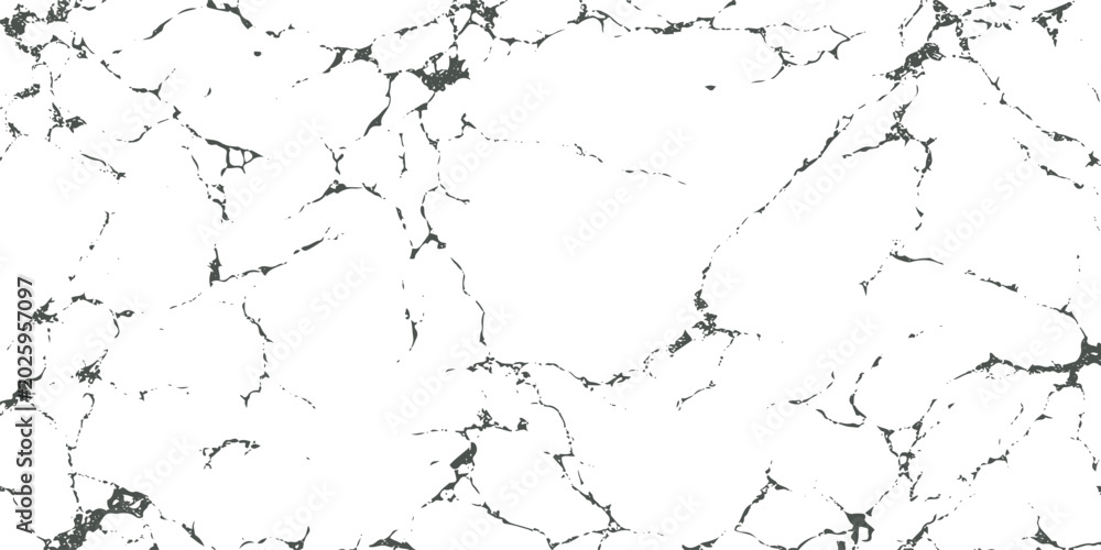 Fototapeta premium Black and white marble texture with irregular veins