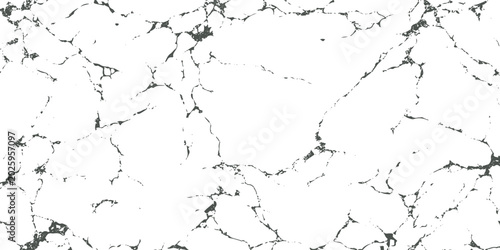 Photos Black and white marble texture with irregular veins