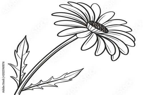 Bilde på lerret coloring page line art the nightshade flower black vector