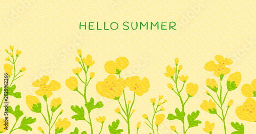 Hello summer horizontal banner with yellow rapeseed flowers. Floral vector background with blooming canola plants and copy space. Perfect for seasonal holiday designs, ads, branding, covers, cards.