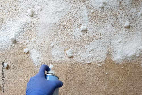 Gloved hand spreading cleaning foam across carpet surface