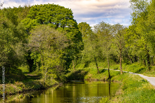 Tableau sur toile Peaceful canal with reflections and green trees along the Shannon Blueway near D
