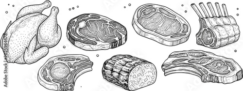 Photos Hand drawn vector illustration set of raw meat cuts including beef steak pork ch