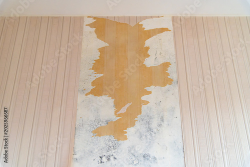 Exposed plaster and adhesive after wallpaper removal in room