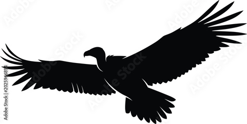 Bild auf Leinwand Black silhouette of a large condor or vulture bird flying with wide wingspan iso
