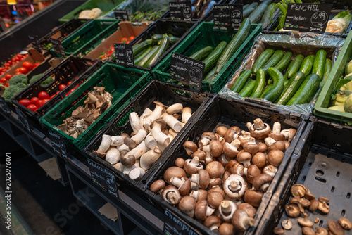 Assorted cucumbers, tomatoes, fennel, scallions, and champignon mushrooms displayed in crates at an outdoor farmers market.