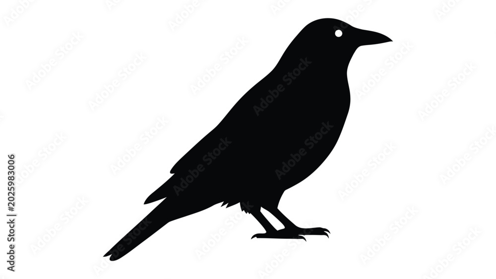 Obraz premium Black bird silhouette isolated on white background