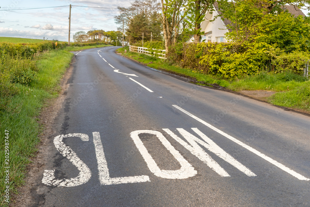 Naklejka premium Slow Road Marking on Rural Country Lane Before Dangerous Bend