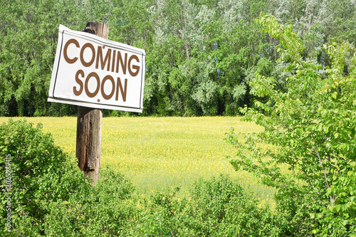COMING SOON SIGN IN RURAL SCENE WITH TREES AND GREENERY - TEXT WRITTEN ON WOODEN ADVERTISING BILLBOARD FOR REAL ESTATE, BUSINESS, DEVELOPMENT, CONSTRUCTION AND MARKETING CONCEPTS
