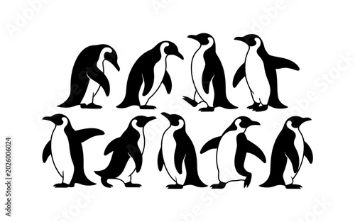 Konstfotografi Set of black and white penguin silhouettes in various poses isolated on a white background