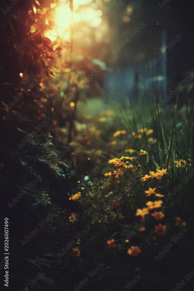 Fototapeta premium digital illustration of a dreamy meadow filled with wild yellow daisies and lush green foliage at sunset. Warm sunlight from above illuminates the scene with a soft glowing atmospheric haze. 