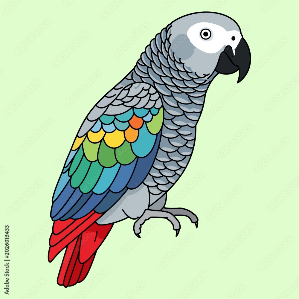 Obraz premium Colorful African Grey Parrot Illustration with Detailed Plumage.